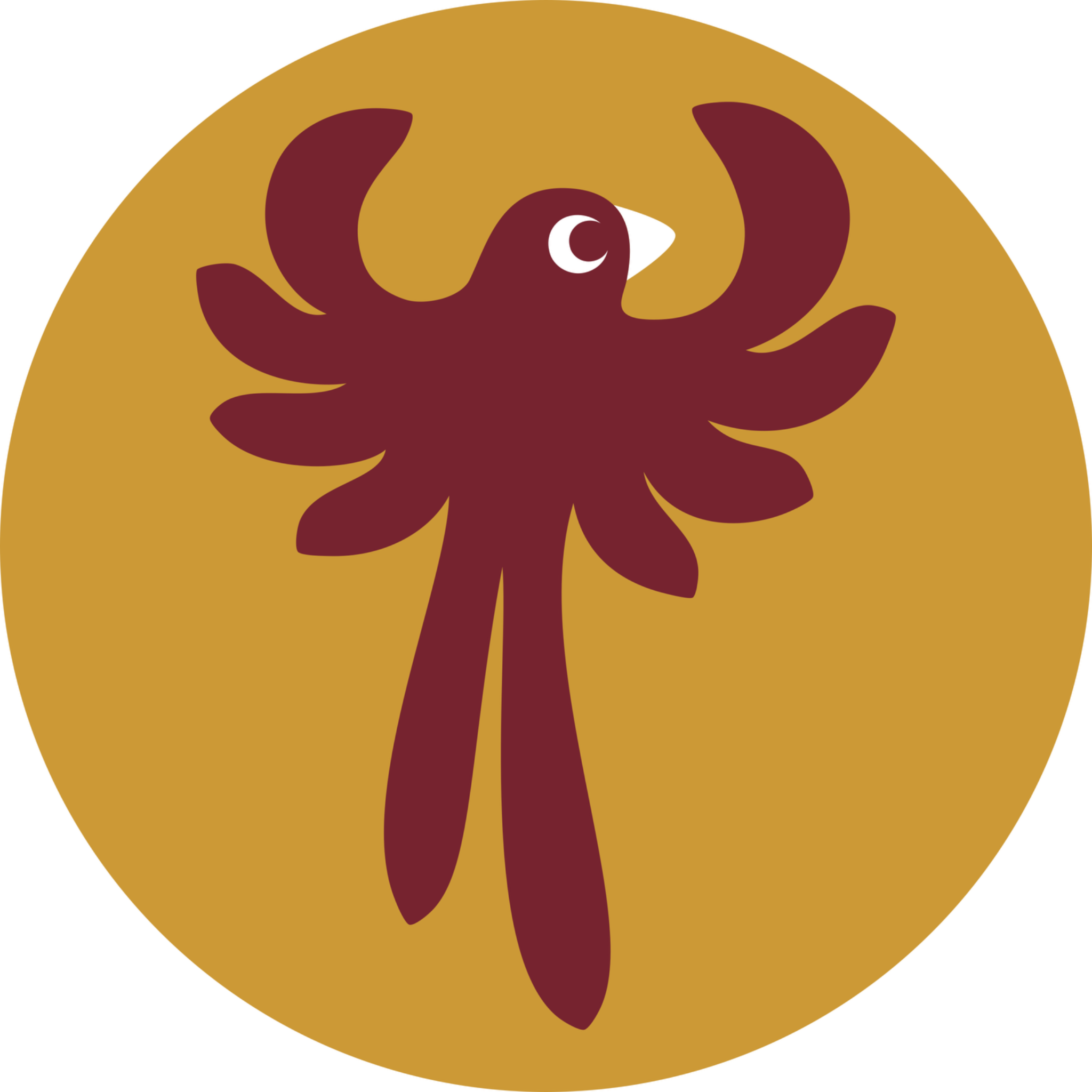 Pfadi Phoenix